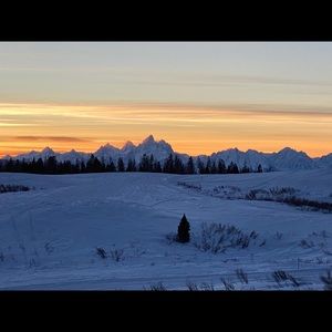 Meet your Posher, Shane
